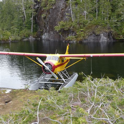 ALASKA SEAPLANE TOURS (2026) All You Need to Know BEFORE You Go (with ...