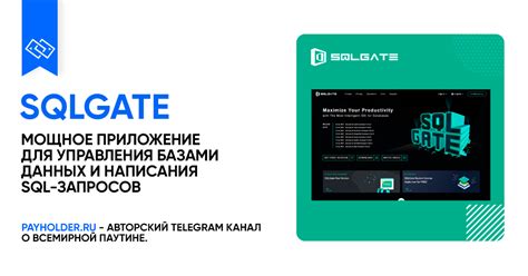 Как оплатить SQLGate из России? Обзор сервиса SQLGate, его плюсы и ...