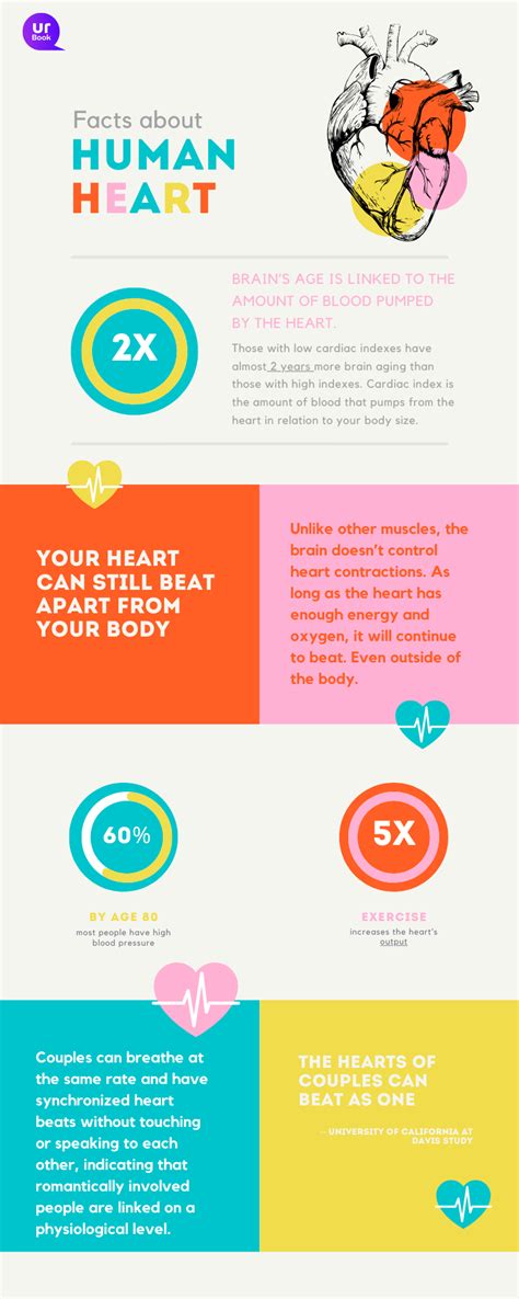Facts About Heart : 10 Surprising Facts About Heart