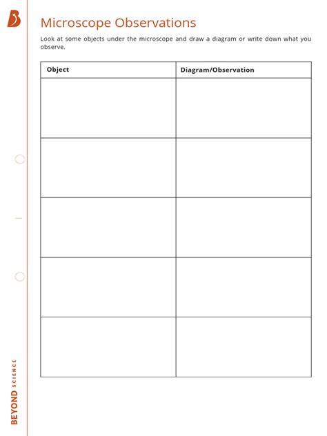 Image result for Worm Microscope Observations Worksheet