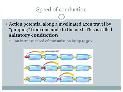 Potential Negative 的图像结果