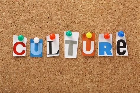 Demystifying Culture – Perspectives