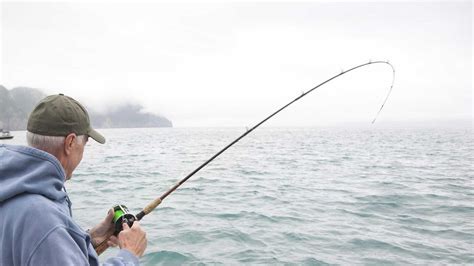 The 11 Best Salmon Fishing Rods of 2026 - WooFish.com