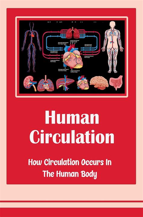Human Circulation: How Circulation Occurs In The Human Body eBook ...