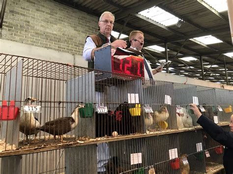 Image result for Yoder Poultry Auction