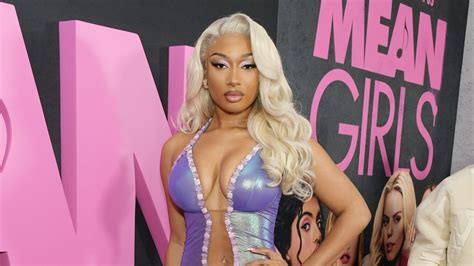 Megan Thee Stallion "Megan's Law" Line Slammed By Megan Kanka's Family