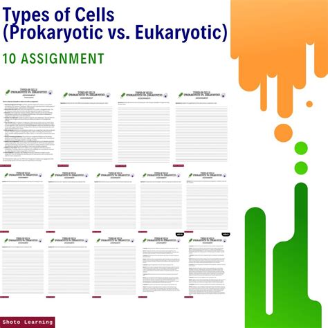 Grade 7 Science Test – Prokaryotic vs. Eukaryotic Cells