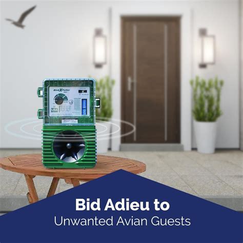 Bird-X BXP Bird Repeller Pro Version 1 - Green (1 India | Ubuy