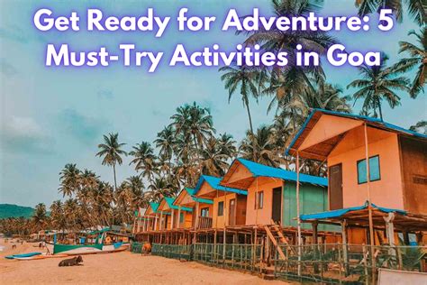 Image result for Goa Experience