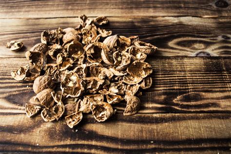 Image result for Using MySQL Shell