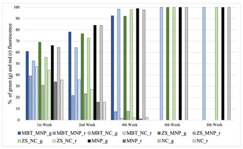 The Efficiency of Biocidal Silica Nanosystems for the Conservation of ...