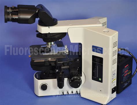 Fluorescence Microscopes - Olympus BX51 Upright Phase Contrast Microscope