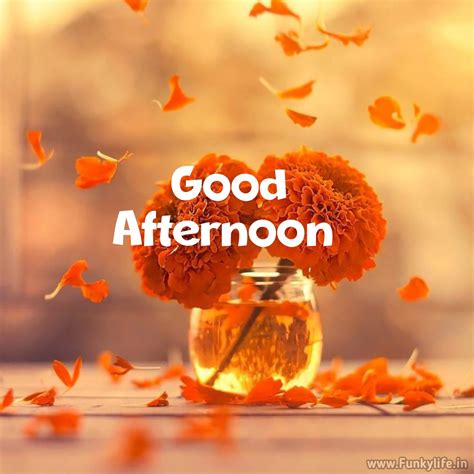 Good Afternoon My Friend