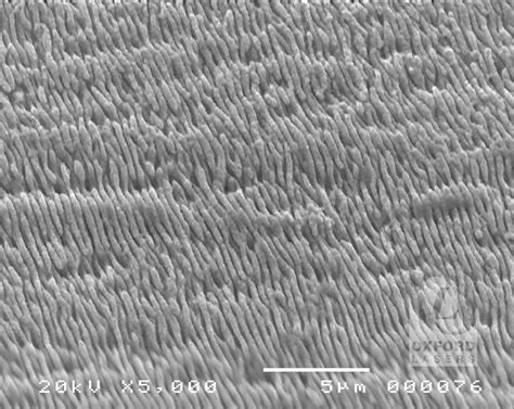 Image result for Laser Surface Texturing