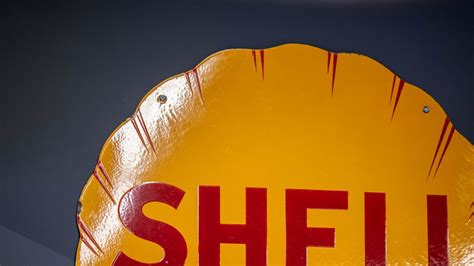 Image result for 32 Inch Shell Sign