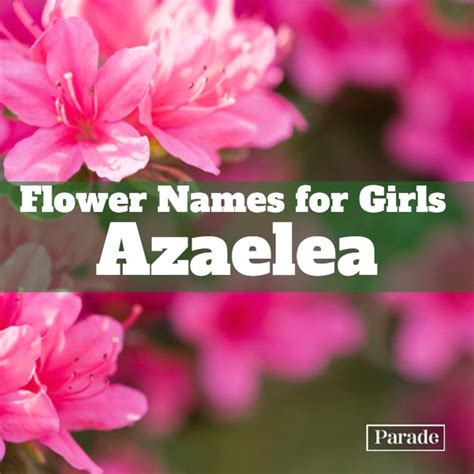 Cool Baby Names That Mean Flower at Hamish Hale blog