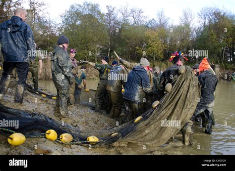 Image result for Netting Fast Fish Between Tanks