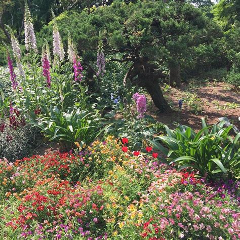 FUKAYA GREEN KINGDOM (2024) All You Need to Know BEFORE You Go (with ...