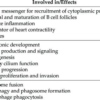 Image result for PI3K PIP PIP2 PIP3