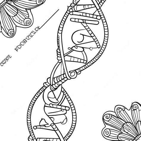 DNA Coloring 的图像结果