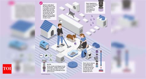 Dyson: 50% of pet owners in India believe that bacteria reside on their ...
