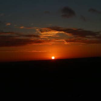 Buy Lowepro Lens Case 11 x 14 cm (Black) Online at Low Price in India ...