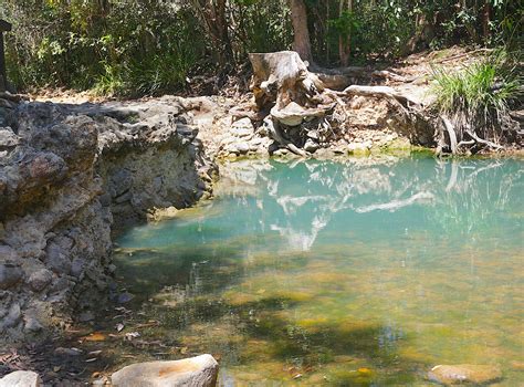 Cardwell Spa Pool - North Queensland, Australia - Top Hot Springs