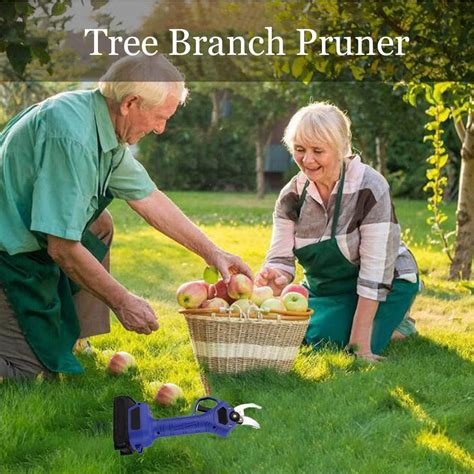 Buy 21V Professional Electric Secateurs 25-30MM Cutting Diameter ...