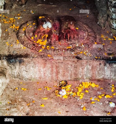 Feet of Buddha covered in yellow and white flower petals and Sindooor ...