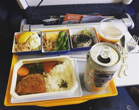 Airline Meal 的图像结果