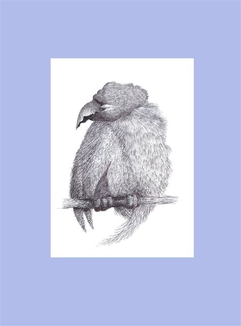 How I drew a fluffy bird for "The Fluff" | mm gilbert posted on the ...