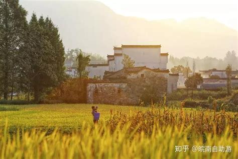 皖南绝佳赏秋地，碧瓦飞甍、漫山金黄，景色太太太...撩人 - 知乎