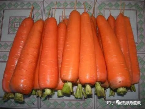 胡萝卜的历史起源及繁多的品种 - 知乎