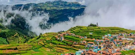 Mini Bus Rental In Chennai | Mini Bus Tariff In Chennai | Tempo ...