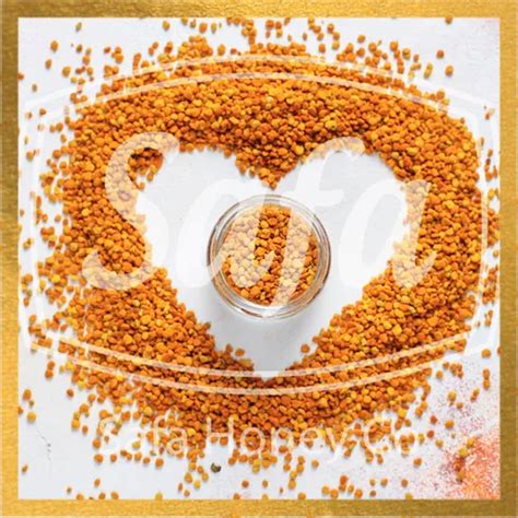 Bee Pollen Granules Trader - Retailer from Bengaluru
