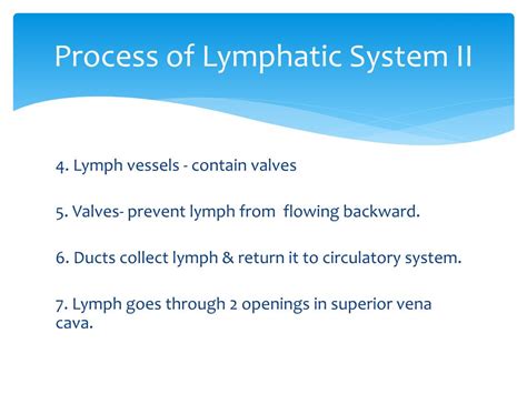 Lymphatic System Process 的图像结果