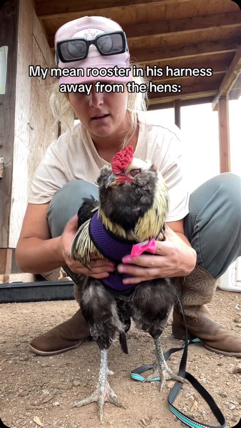 Emilia (@thatfarmerbarbie) • Instagram photos and videos