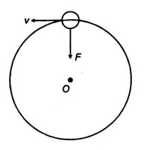 A body of mass 5 kg is moving in a circle of radius 1 m which an ...