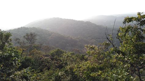 SATHWIK HOMESTAY (Sirsi, Karnataka) - Guesthouse Reviews & Photos ...