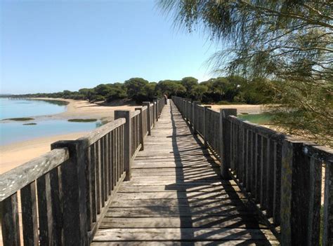 THE BEST Puerto Real Pubs & Clubs (2026) - with Reviews