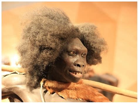 First Humans 的图像结果