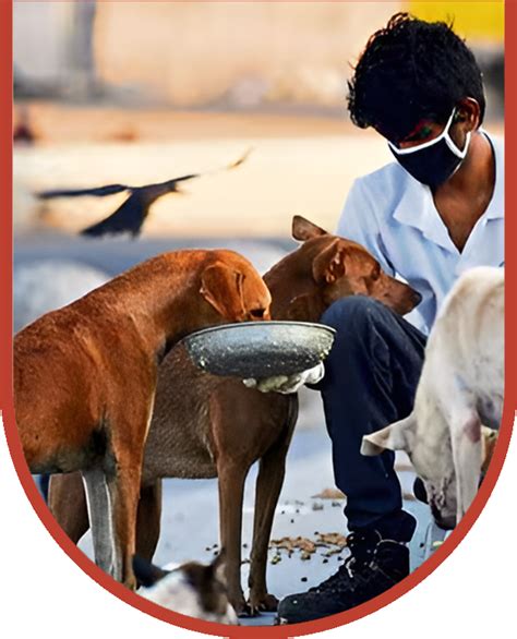 Home | Feeders Association India