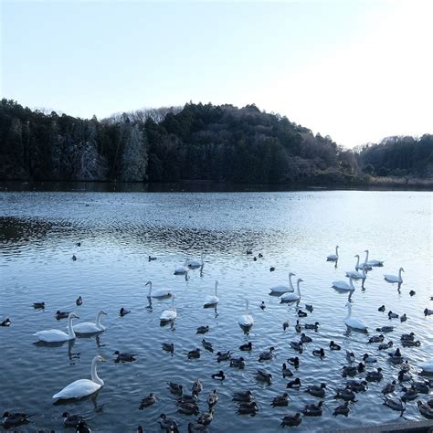 KOTOKUTAME POND - All You Need to Know BEFORE You Go 2026 (with Photos ...