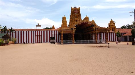 Urlaub in Sri Lanka - Tipps für Ihre Reise nach Ceylon