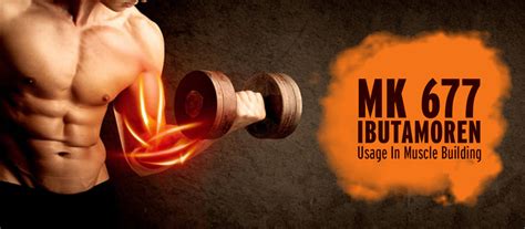 MK 677 Ibutamoren Usage In Muscle Building - CrazyBulk.in