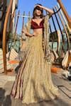 Buy Gold Velvet, Tissue Embroidery, Metallic Thread Textured Lehenga ...