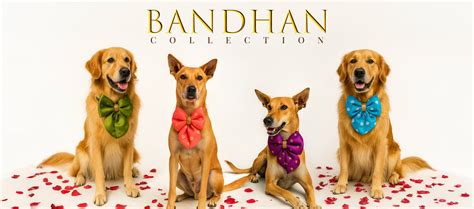 Dog Bow ties, Bandanas & Dog Collars - Shop Online for Dog Accessories ...