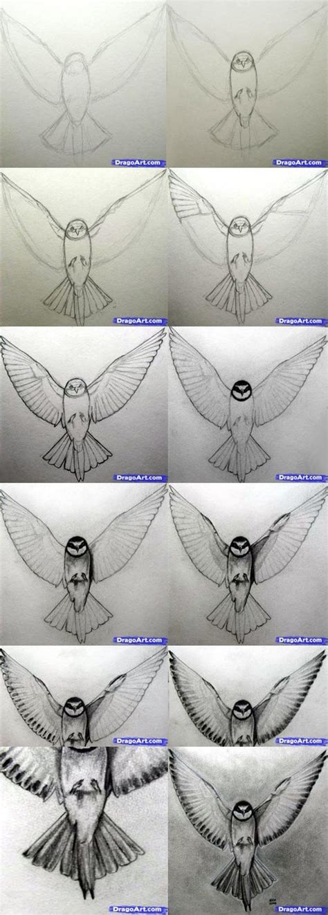 Image result for Drawing Birds Tutorial