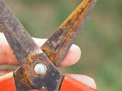 Remove Rust From Tools 的图像结果