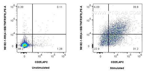 TNFRSF9/CD137 antibody (98182-1-RR) | Proteintech